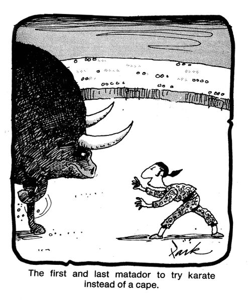 The first and last matador to try karate instead of a cape.