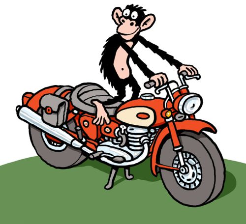 Monkey on a motorbike.
