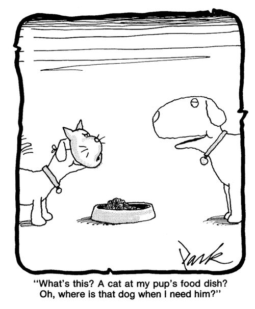 'What's this? A cat at my pup's food dish? Oh, where is that dog when I need him?'
