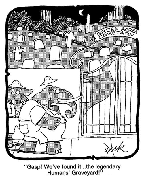 'Gasp, we've found it - it's the legendary Human's Graveyard!'