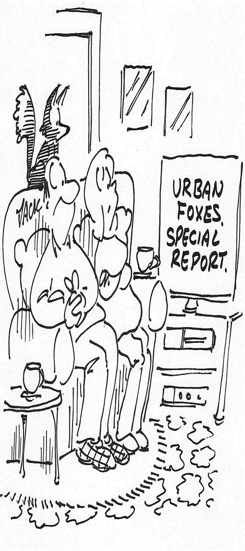 URBAN FOXES,SPECIAL REPORT.