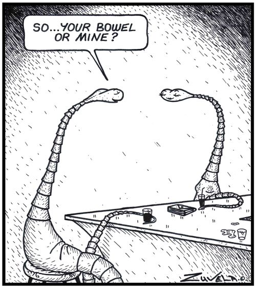 'So...your Bowel or mine?' / A male tapeworm using a pick-up line on a female tapeworm