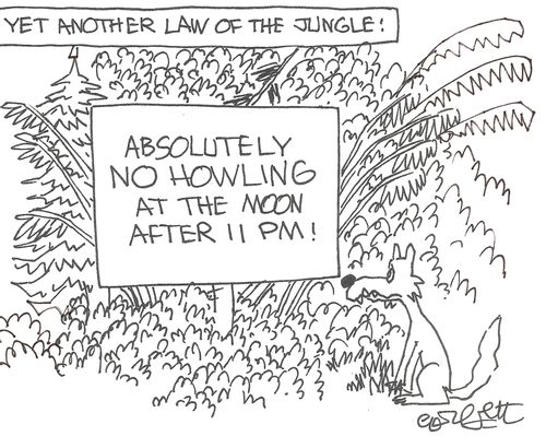 Yet another law of the jungle: 'Absolutely NO howling at the moon after 11 PM!
