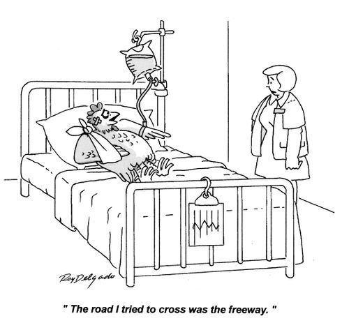 'The road I tried to cross was the freeway.'