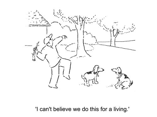 'I can't believe we do this for a living.'