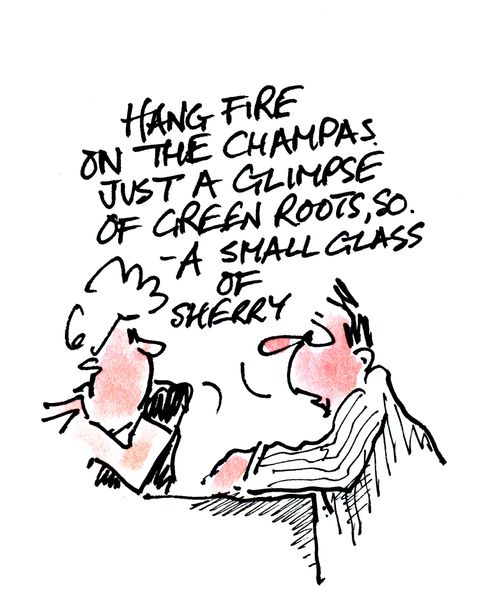 Hang fire on the Champas. Just a glimpse of green roots, so, a small glass of sherry.
