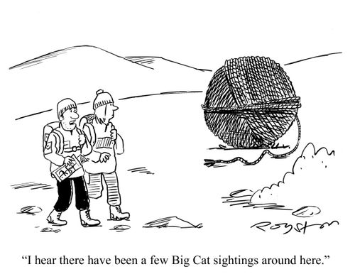 'I hear there have been a few Big Cat sightings around here.'