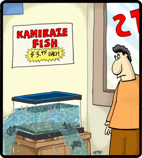 Kamikaze fish. $3.95 each.