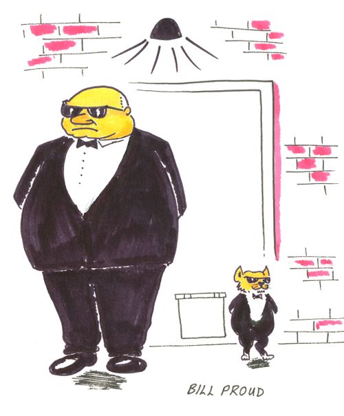 Bouncer.