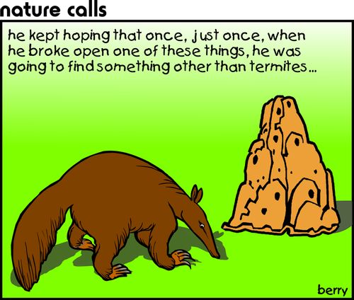 Anteaters.