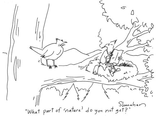 'What part of 'nature' do you not get?'