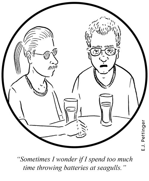 'Sometimes I wonder if I spend too much time throwing batteries at seagulls?'