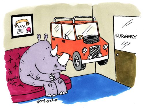 Rhino seeking surgery