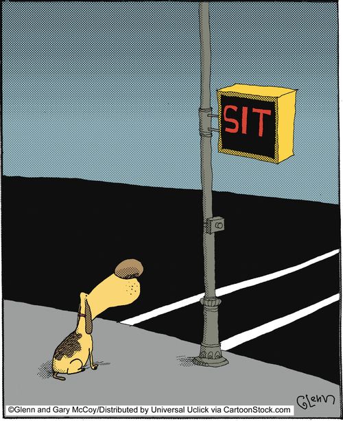 Sit.