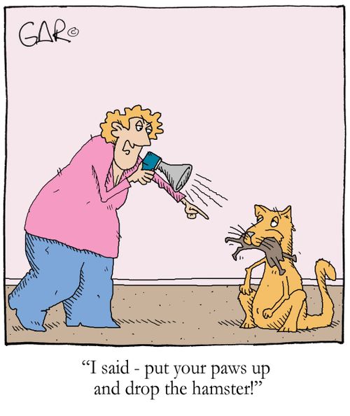 'I said - put your paws up and drop the hamster!'