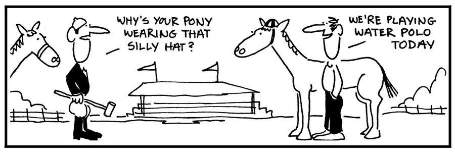 'Why's your pony wearing that silly hat?' - 'We're playing water polo today.'