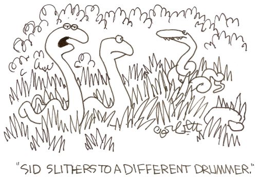 'Sid slithers to a different drummer.'