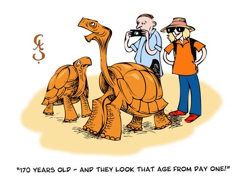 '170 years old - and they look that age from day one!'