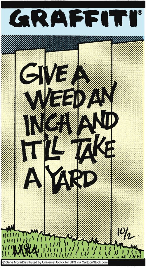 Give a weed an inch and it'll take a yard.