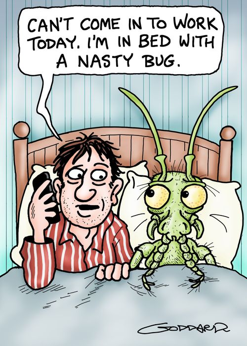'Can't come in to work today. I'm in bed with a nasty bug.'