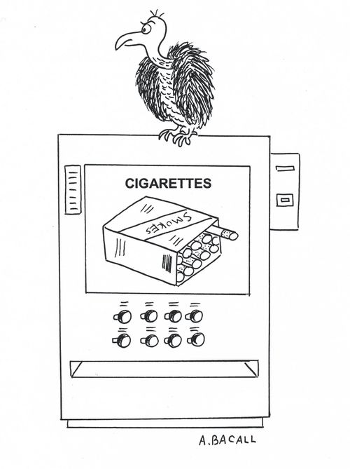Vulture wait for customers who buy cigarettes from vending machine.'