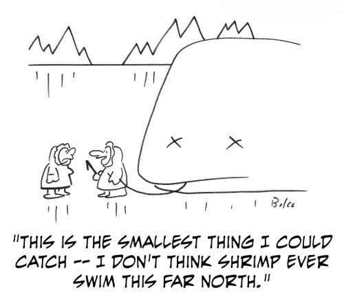 'This is the smallest thing I could catch -- I don't think shrimp ever swim this far north.'
