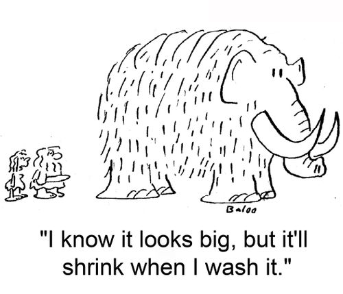 'I know it looks big, but it'll shrink when I wash it.'