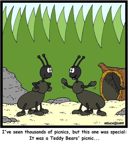 'I've seen thousands of picnics, but this one was special: It was a Teddy Bears' picnic...'