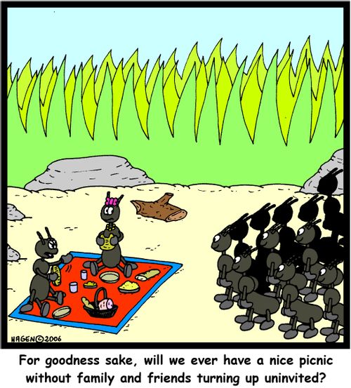 'For goodness sake, will we ever have a nice picnic without family and friends turning up uninvited?'