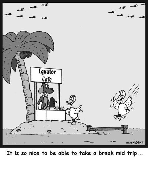 It is so nice to be able to take a break mid trip...