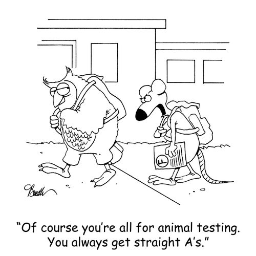 'Of course you're all for animal testing. You always get straight A's.'