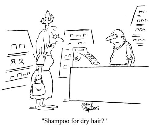 Shampoo for dry hair?