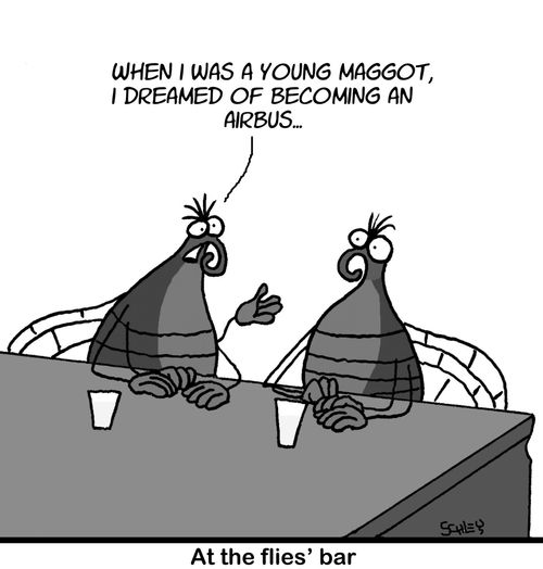 At the flies' bar: 'When I was a young maggot, I dreamed of becoming an Airbus!'