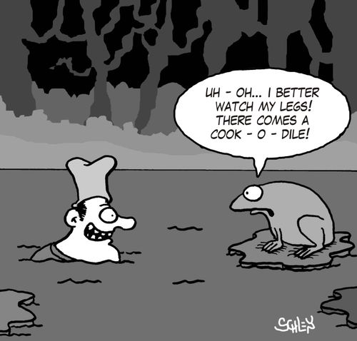 'Uh-Oh... I better watch my legs! There comes a cook - o - dile!'