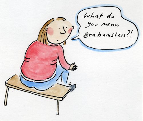 What do you mean Bra Hamsters?