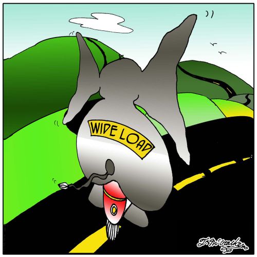 Wide Load