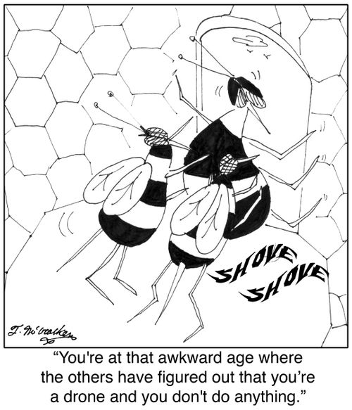 'You're at that awkward age where the others have figured out that you're a drone and you don't do anything.'