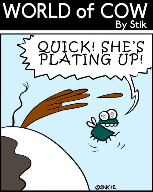 'Quick! She's plating up!'