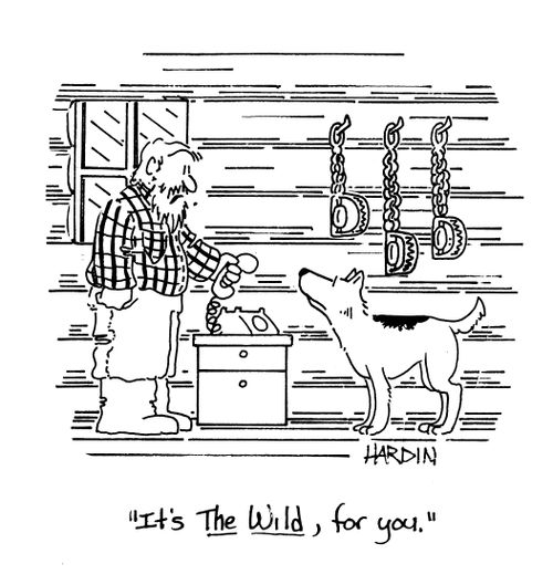 'It's The Wild, for you.'