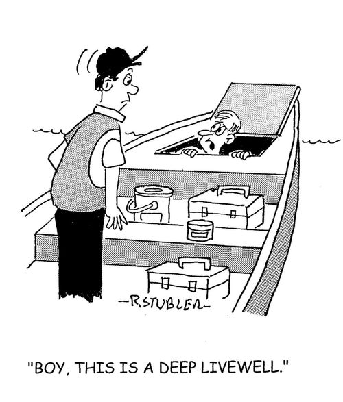 'Boy this is a deep livewell.'