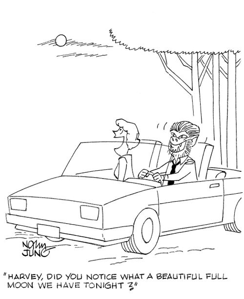 'Harvey, did you notice what a beautiful full moon we have tonight?'