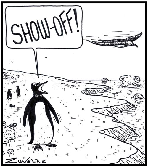 Penguin: 'SHOW-OFF!' 