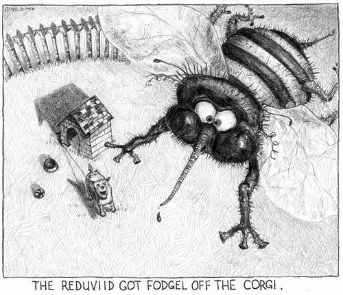 'The reduviid got fodgel off the corgi.'