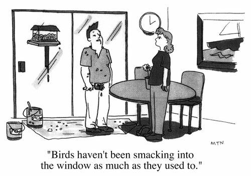 Birds haven't been smacking into the window as much as they used to.