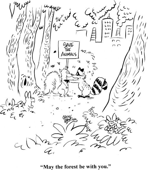 'May the forest be with you.'