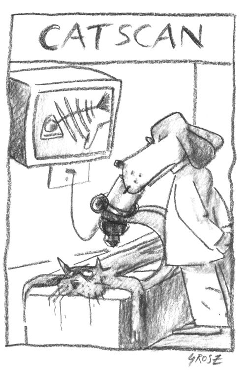Cat Scan