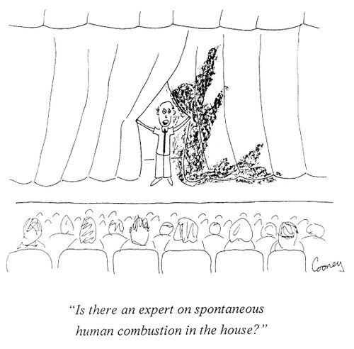 "Is there an expert on spontaneous human combustion in the house?"