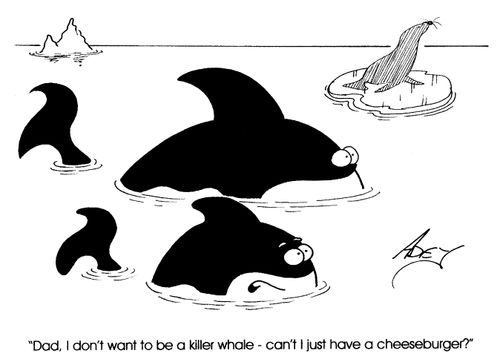"Dad, I don't want to a killer whale. Can I just have a cheeseburger?"