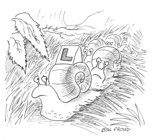 Learner snail in front