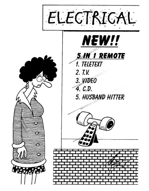 Remote control made for hitting your husband